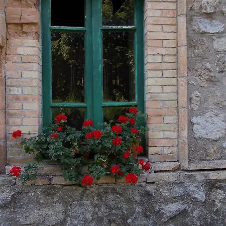 B&B Locanda Pecora Nera