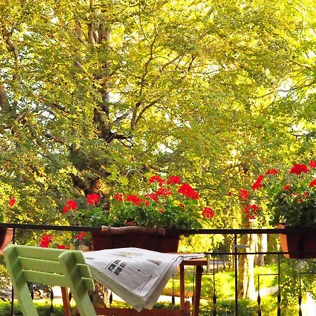 Bed and Breakfast B&B Locanda Pecora Nera *