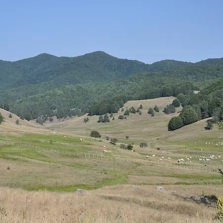 Frühstückspension B&B Locanda Pecora Nera