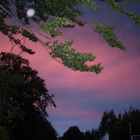 Bed and Breakfast B&B Locanda Pecora Nera Tirivolo