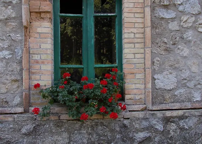 B&B Locanda Pecora Nera