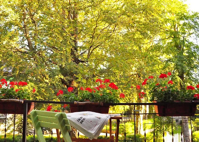 Bed and Breakfast B&B Locanda Pecora Nera *