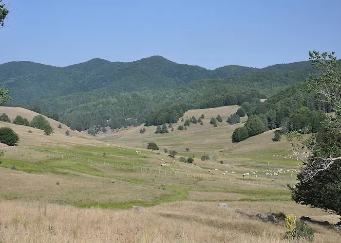 B&B B&B Locanda Pecora Nera