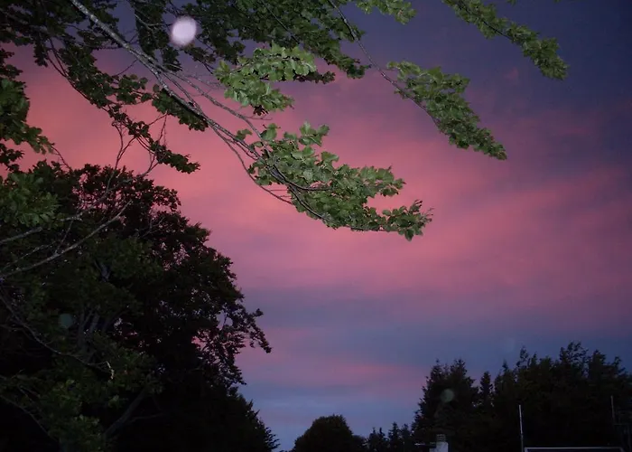 B&B B&B Locanda Pecora Nera Tirivolo