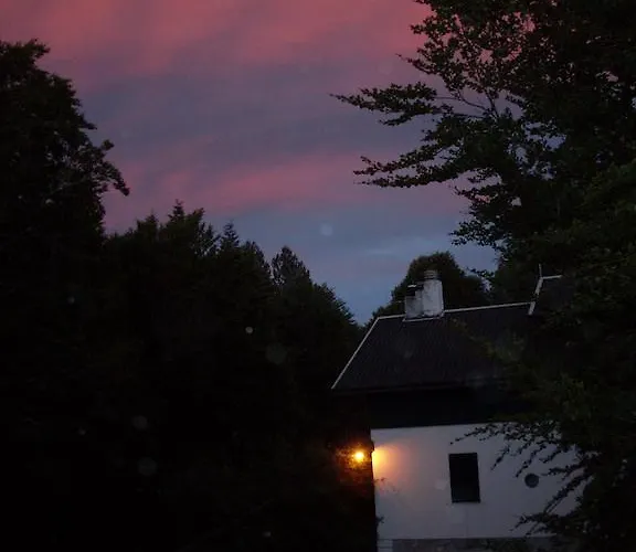 Bed and Breakfast B&B Locanda Pecora Nera *